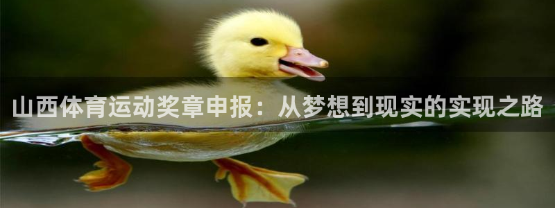 蓝鲸体育免费观看高清视频：山西体育运动奖章申报：从梦想到现实的实现之路