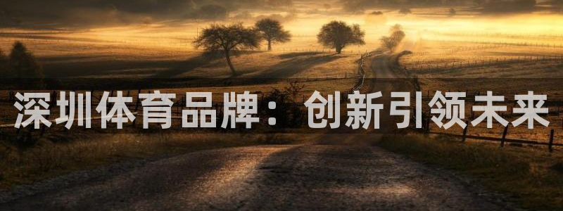 蓝鲸体育app官方入口：深圳体育品牌：创新引领未来