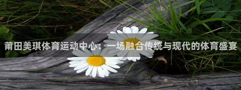 蓝鲸体育去哪下载：莆田美琪体育运动中心：一场融合传统与现代的体育盛宴