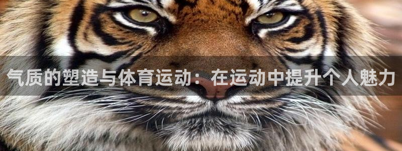 蓝鲸体育转播：气质的塑造与体育运动：在运动中提升个人魅力