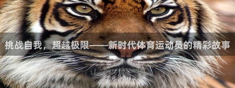 蓝鲸体育利雅得胜利：挑战自我，超越极限——新时代体育运动员的精彩故事