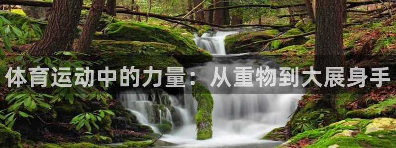 蓝鲸体育app官方正式版下载：体育运动中的力量：从重物到大展身手