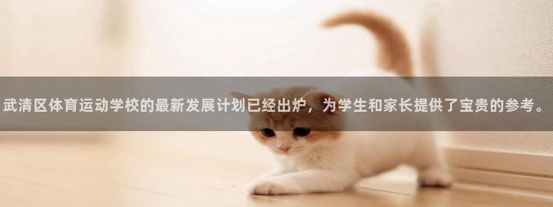 蓝鲸体育链接：武清区体育运动学校的最新发展计划已经出炉，为学生和家长提供了宝贵的参考。