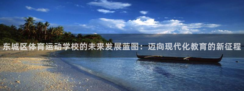 蓝鲸体育篮球直播：东城区体育运动学校的未来发展蓝图：迈向现代化教育的新征程